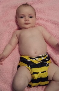 Baby Bumble Bee Fin